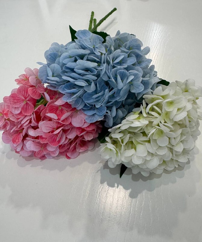 Гортензия pastel